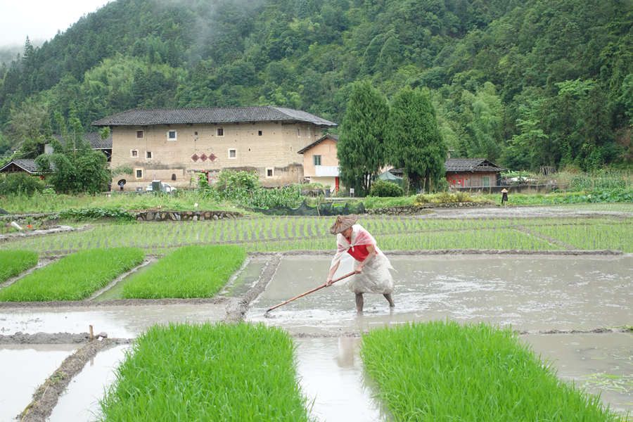 “大地指纹”点缀世遗土楼