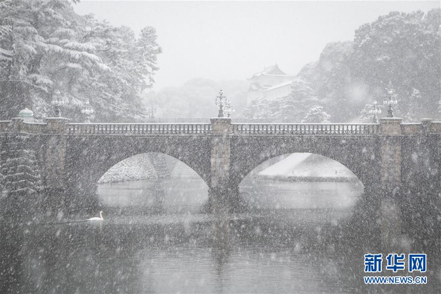 日本东京迎初雪