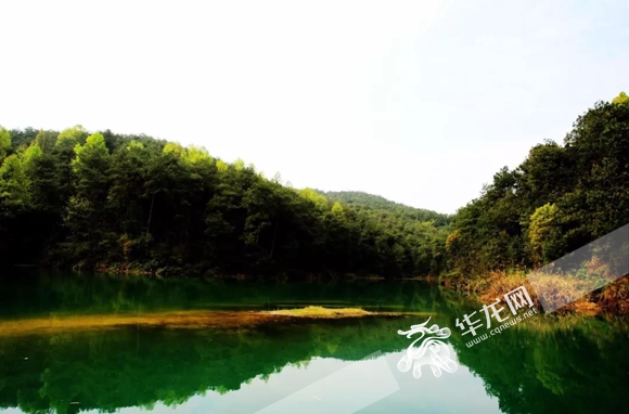 【区县联动】【沙坪坝】沙坪坝：文化旅游成为转型发展的重要引擎【区县联动】沙坪坝：文化旅游成为转型发展重要引擎