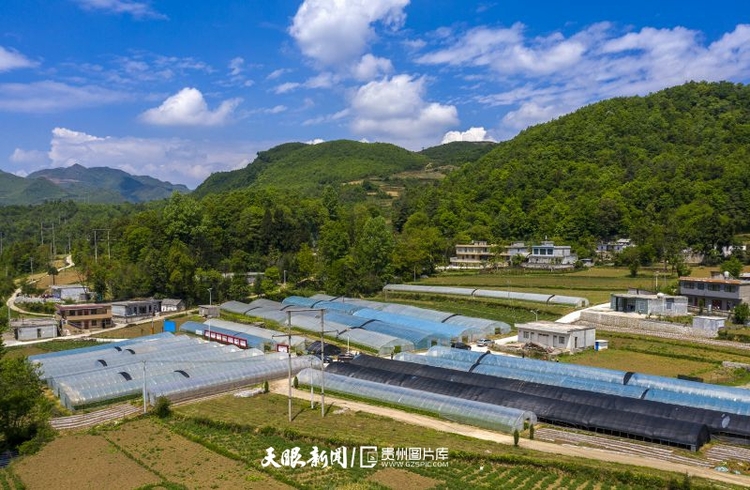 （中首）贵州赫章：党建引领助推乡村振兴