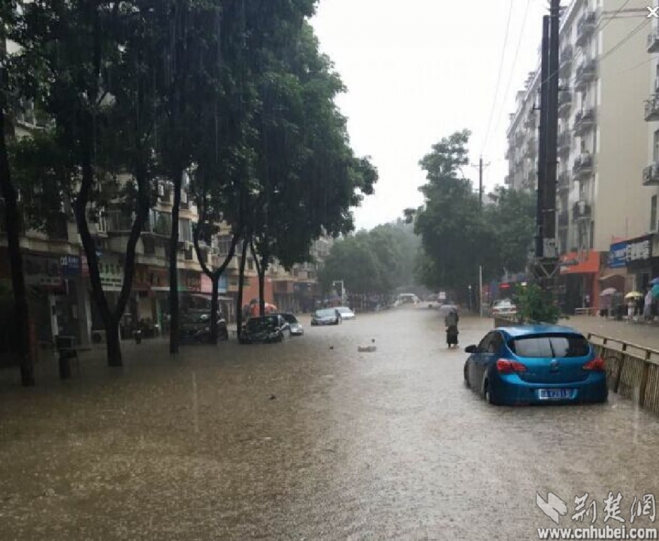 暴雨中的前行者 致敬“武汉人的上班精神”(组图)-国际在线
