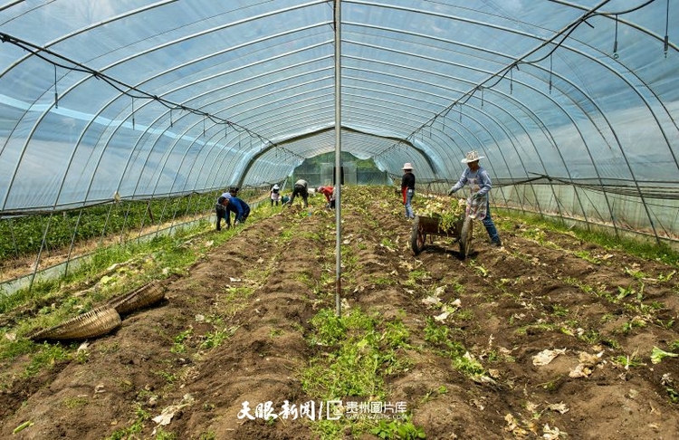 （中首）贵州赫章：党建引领助推乡村振兴