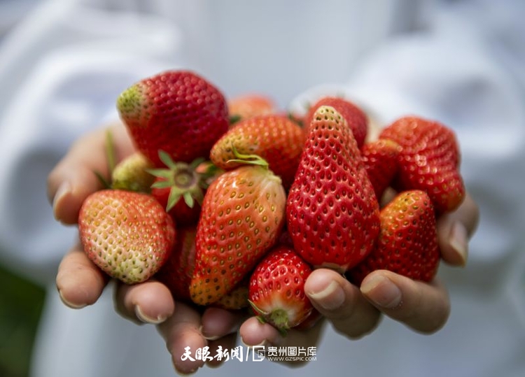 （中首）贵州赫章：党建引领助推乡村振兴