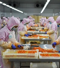 【央视快评】坚定不移走中国人权发展道路