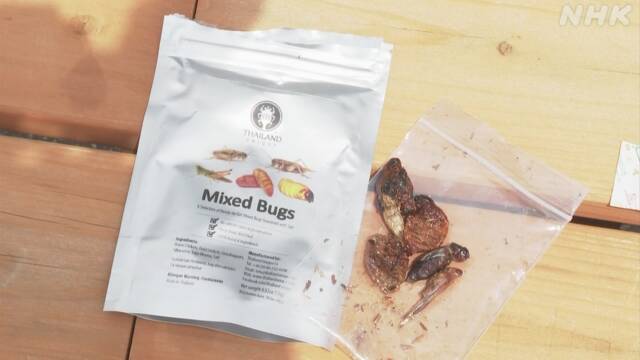 日本推出昆虫零食贩卖机：提供18种不同口味炸虫子 有的卖断货