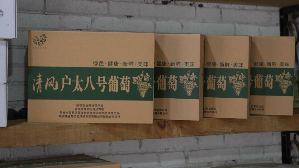 奋斗者 正青春｜秦岭脚下 “95后”新农人播撒新希望
