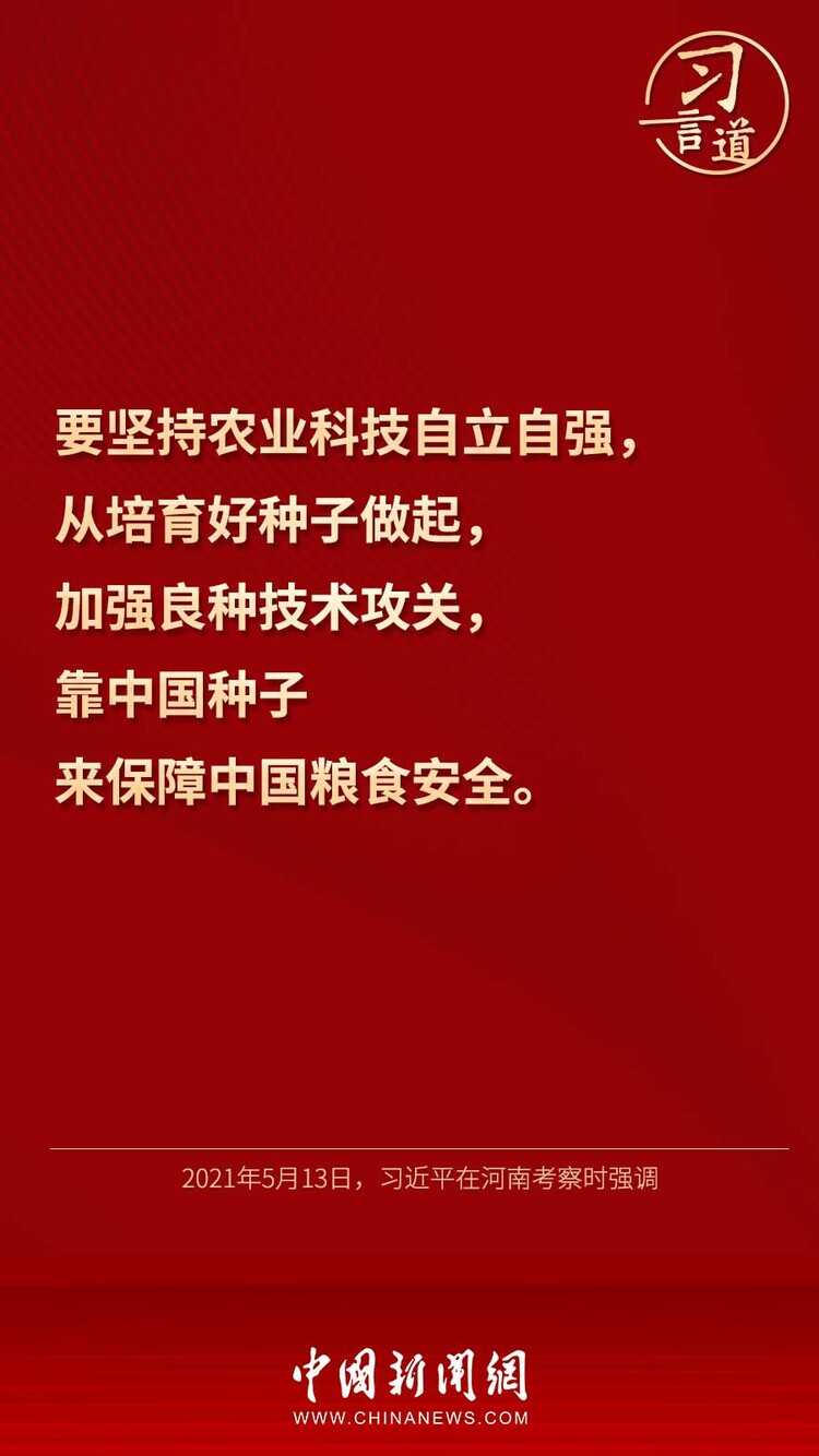 【大国“粮”策】习言道 | “靠中国种子来保障中国粮食安全”