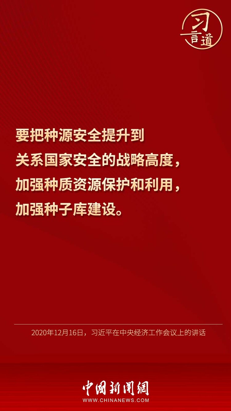 【大国“粮”策】习言道 | “靠中国种子来保障中国粮食安全”