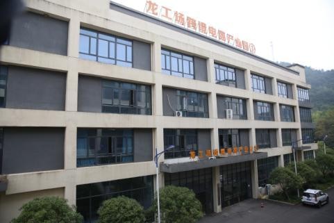 大龙网成功举办捷克-东至龙工场数字贸易洽谈会