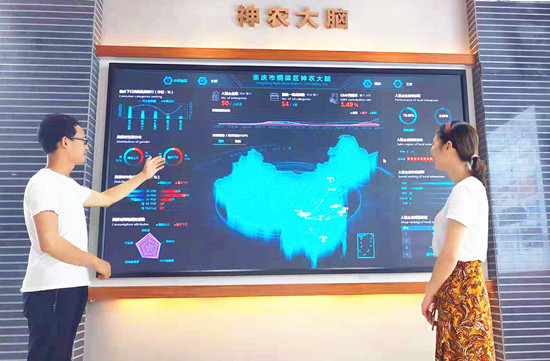 【聚焦重庆】重庆铜梁：“神农大脑” 助力农业高质量发展【内容页标题】重庆铜梁：“神农大脑” 农业大数据助力农业产业高质量发展