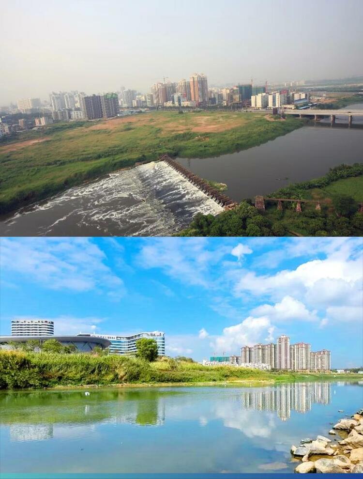 奋进新征程 建功新时代·伟大变革｜“梦里水乡”重回南粤