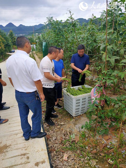 贵州桐梓：把饭碗牢牢端在自己手中