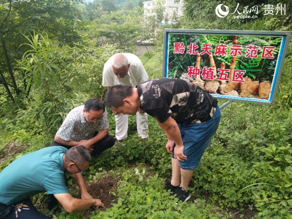 贵州桐梓：把饭碗牢牢端在自己手中