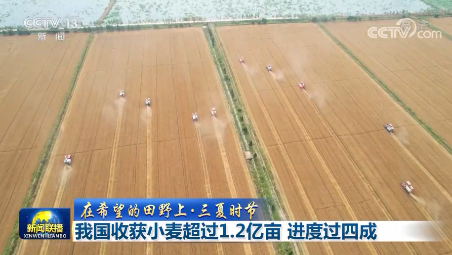 【在希望的田野上·三夏时节】我国收获小麦超过1.2亿亩 进度过四成