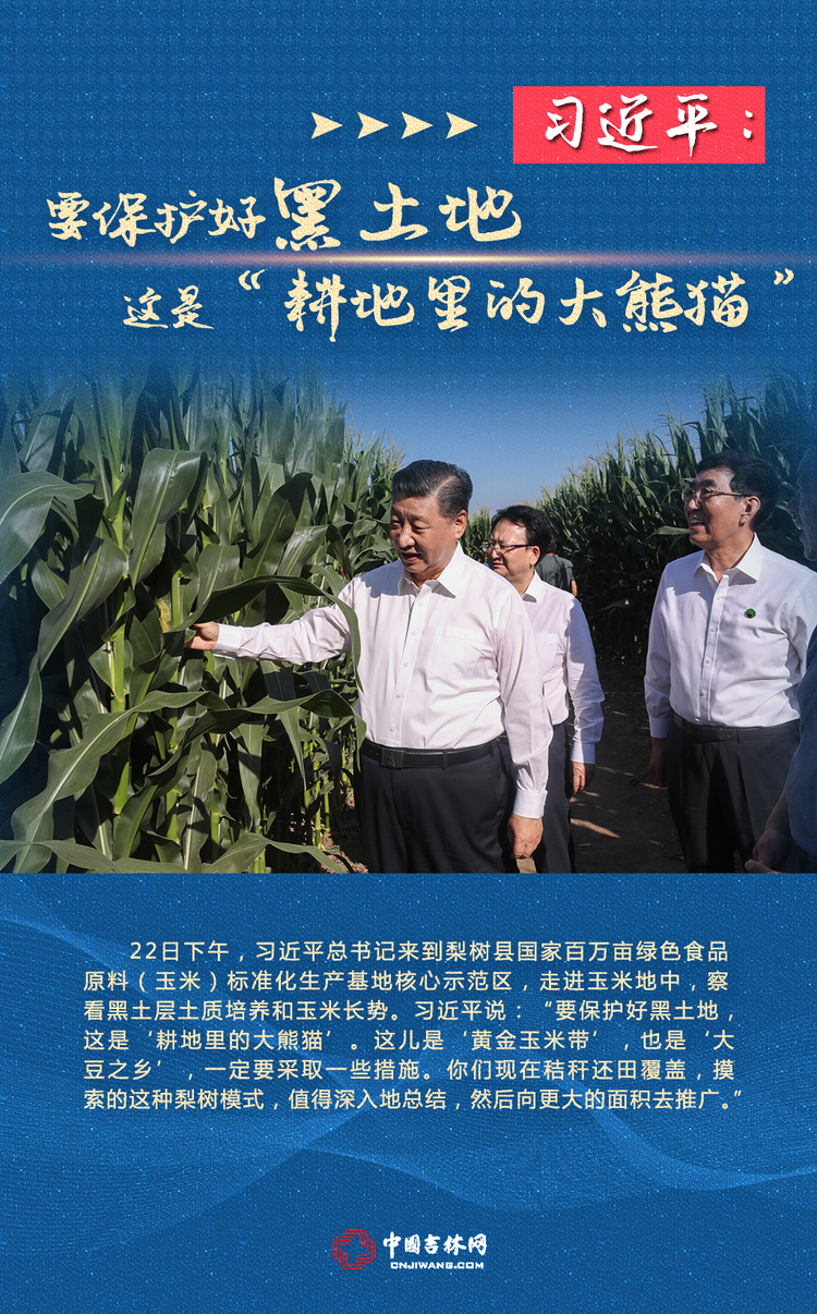 习近平总书记吉林考察调研地回访①：看，黑土地上的希望田野！