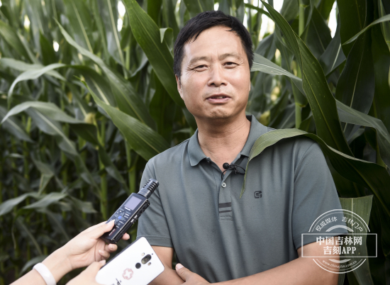 习近平总书记吉林考察调研地回访①：看，黑土地上的希望田野！