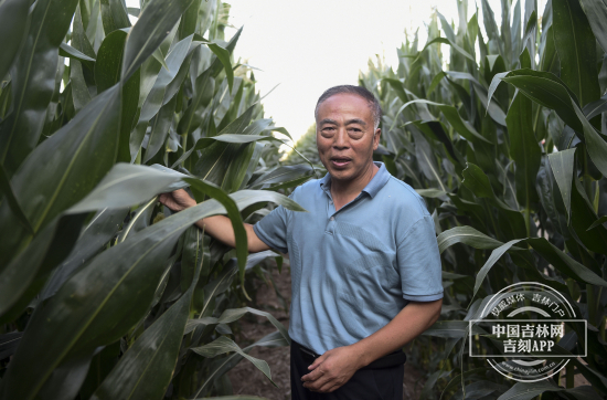 习近平总书记吉林考察调研地回访①：看，黑土地上的希望田野！