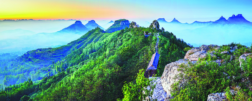 Supple But Strong: Linyi's Willows Bring Work and Wealth