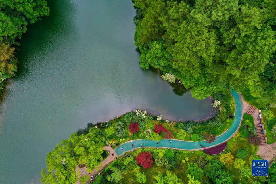 【城市远洋带图】重庆缙云山：城市“绿肺”又回来了_fororder_1128718112_16545108305981n