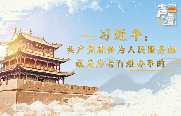 声漫｜习近平：共产党就是为人民服务的 就是为老百姓办事的