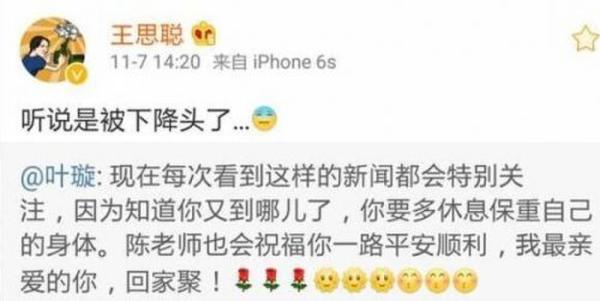 叶璇手撕王思聪 两人到底有什么仇什么怨(图)