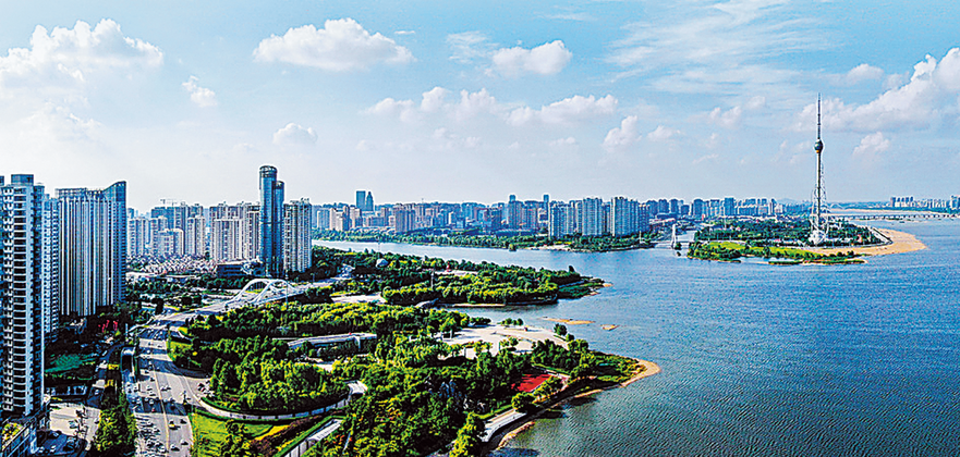 Supple But Strong: Linyi's Willows Bring Work and Wealth