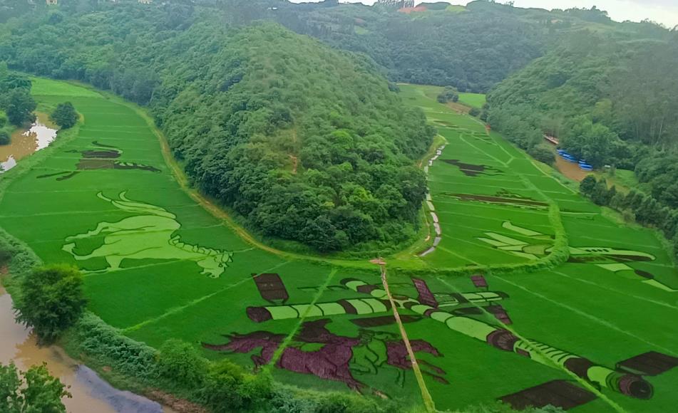 昆明宜良梦幻马蹄湾创意助农业