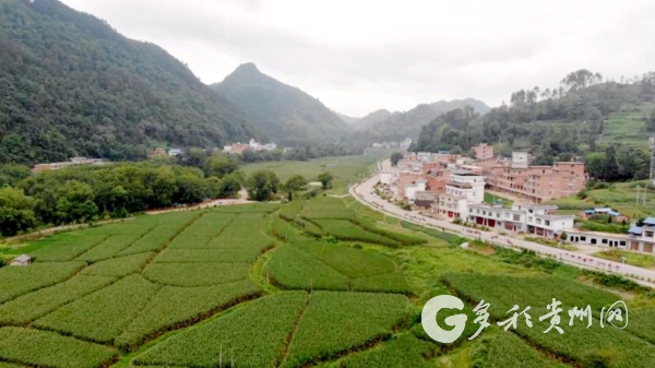 贵州平塘：探索“411”工作体系 推动实现高质量脱贫