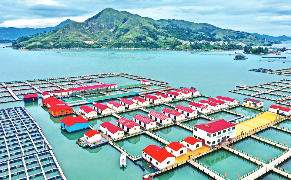 宁德霞浦：渔旅融合奏响海上牧歌_fororder_截图20220609092944