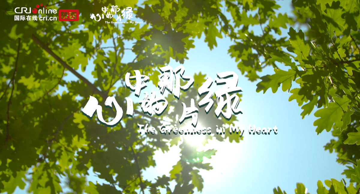 心中的那片绿_fororder_fe821f9ca2620fab09e5abfa3968793