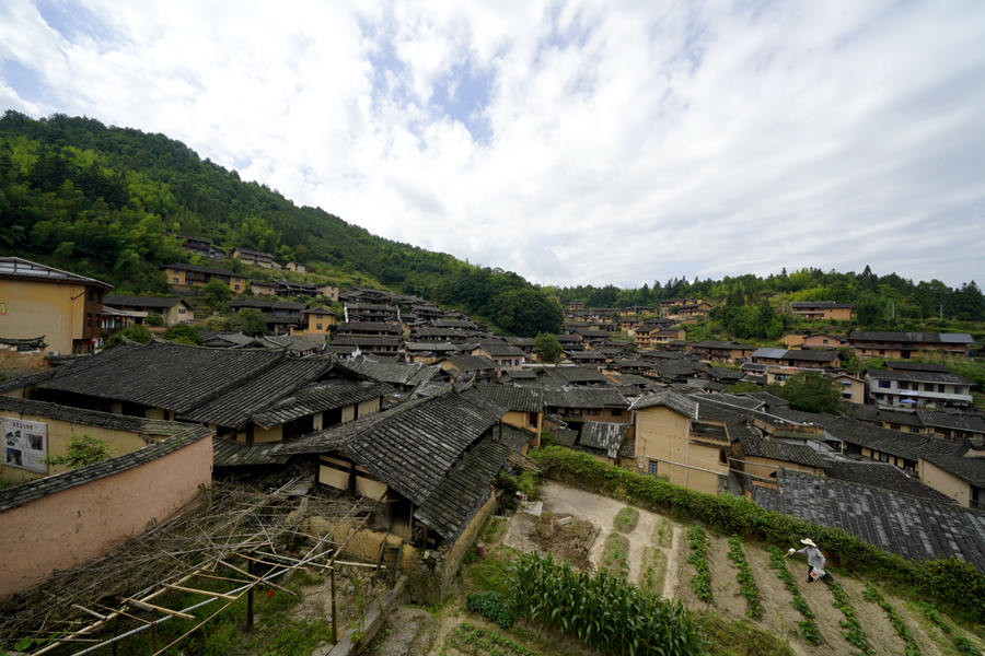 福建尤溪桂峰村：700多年古村落嫁接多业态  催热“慢生活”乡村游