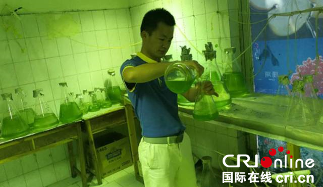 图片默认标题_fororder_蜈支洲岛工作人员进行人工培育水藻_副本