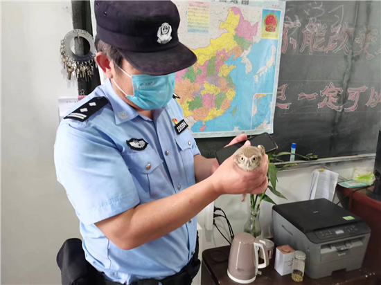 小猫头鹰“闯”进校园 徐州沛县警民暖心救助_fororder_图片2