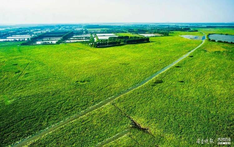 全省唯一！济宁荣获“国际湿地城市”称号