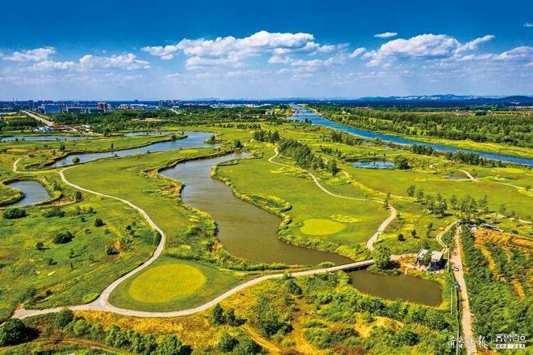 全省唯一！济宁荣获“国际湿地城市”称号