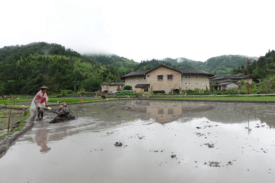 “大地指纹”点缀世遗土楼
