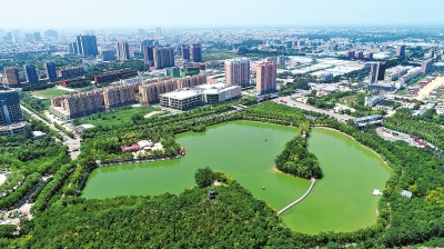【中原名景-图片】沈丘县中华槐园风景如画