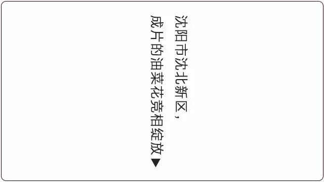 星火“辽”原丨今日看辽宁