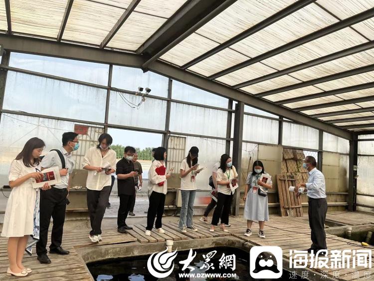 全国主流媒体高唐行 | 从一枝独秀到百花齐放 看锦鲤“游”出高唐好年景