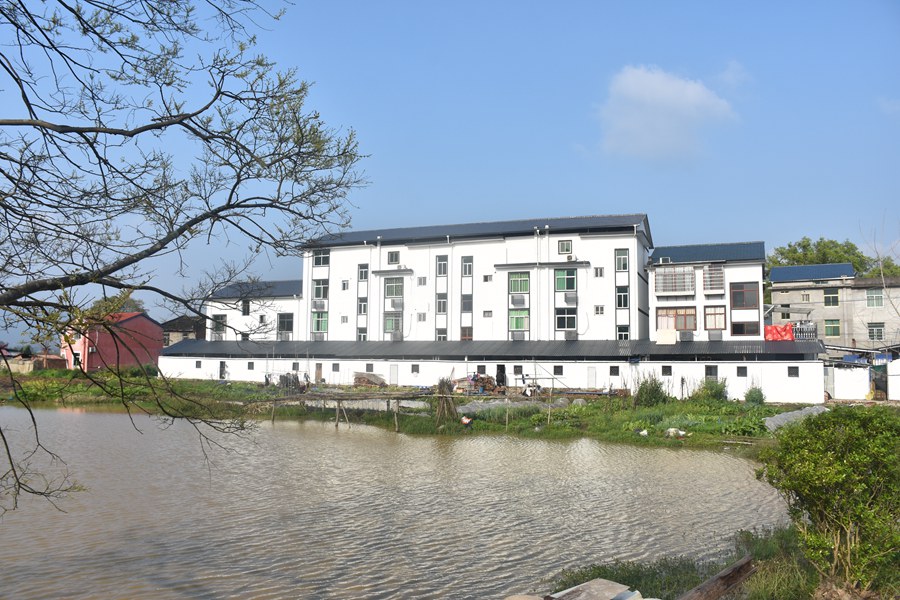福建三明：一村一落皆是景 美丽乡村入画来