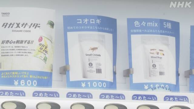日本推出昆虫零食贩卖机：提供18种不同口味炸虫子 有的卖断货