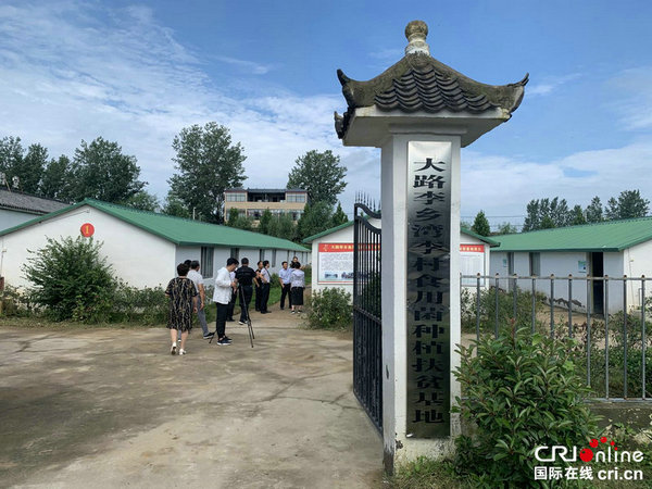 【A】【全面小康·一个都不能少】河南上蔡：“全景式”构建产业扶贫大格局