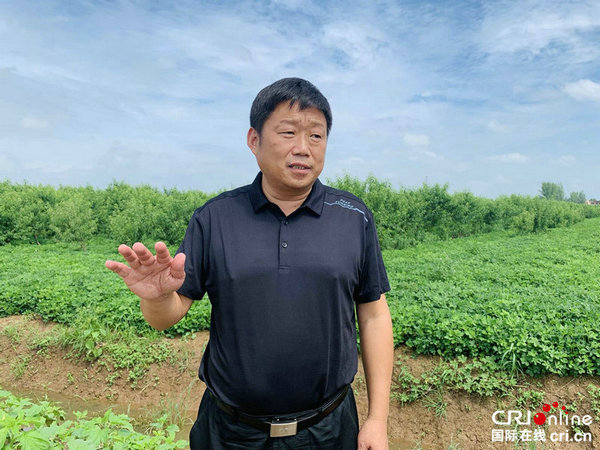 【A】【全面小康·一个都不能少】河南上蔡：“全景式”构建产业扶贫大格局