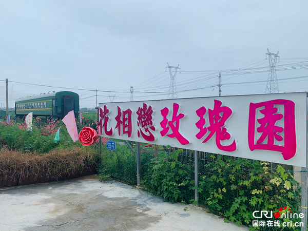 【A】【全面小康·一个都不能少】河南上蔡：“全景式”构建产业扶贫大格局