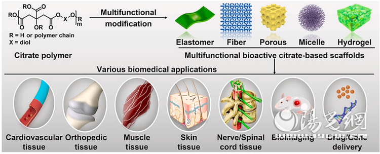 西安市红会医院许鹏教授团队在《Bioactive Materials》发表高水平研究论文_fororder_20220615022719469