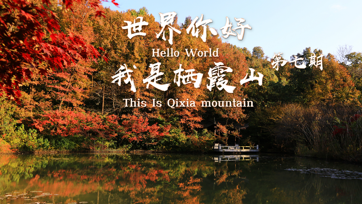 Hello World, This is Qixia Mountain_fororder_a1
