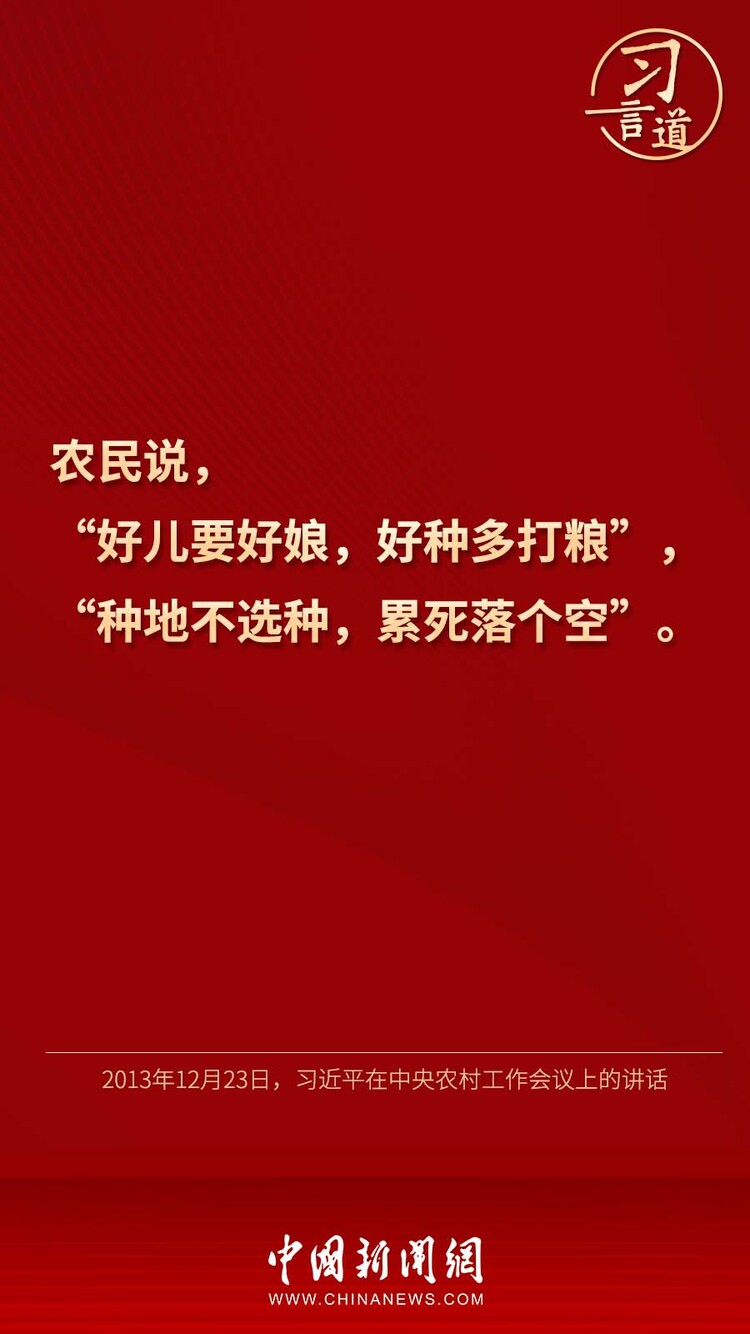 【大国“粮”策】习言道 | “靠中国种子来保障中国粮食安全”