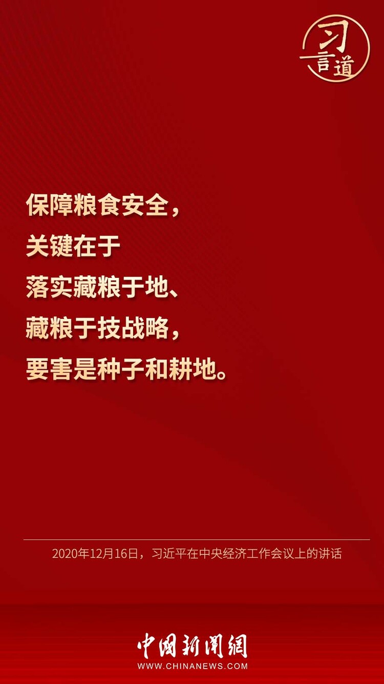 【大国“粮”策】习言道 | “靠中国种子来保障中国粮食安全”