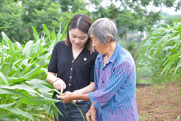 我在乡村挺好的|自贡市荣县双石镇黄家村第一书记黄茂洁带领村民在玉米地里“豆”_fororder_黄茂洁和村民交流
