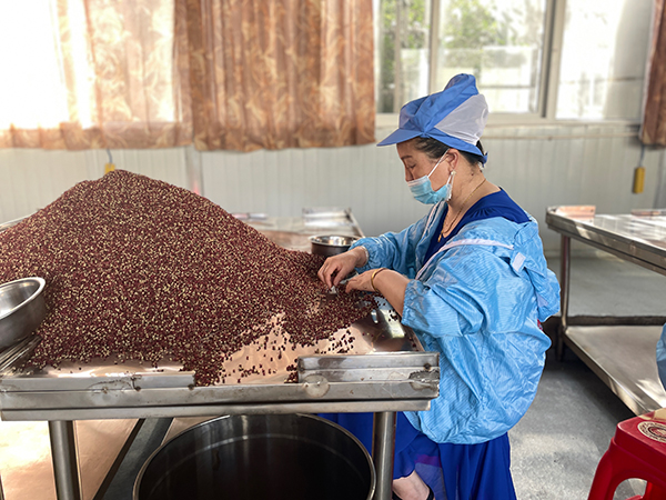 乡村振兴看阿坝｜茂县发展花椒产业 助力高半山乡村振兴_fororder_车间工人筛选花椒-供图-中共阿坝州委网信办